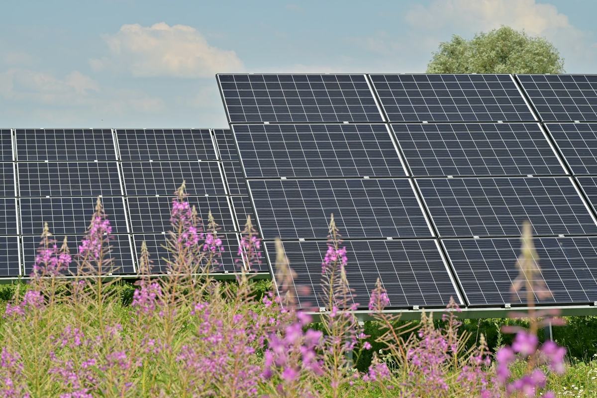 Pożyczki unijne na OZE i efektywność energetyczną w województwie dolnośląskim